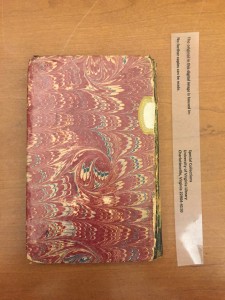 CONCHOLOGIST MARBLE BACK